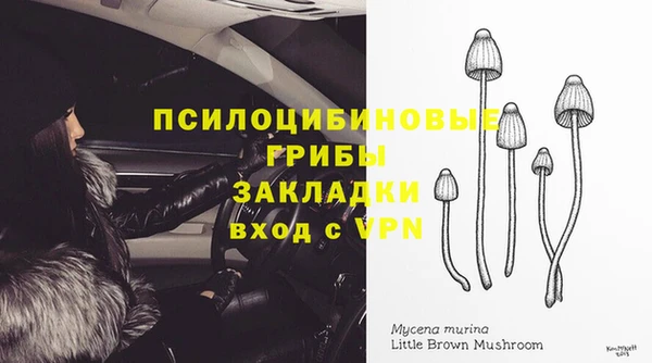 синтетический гашиш Белокуриха