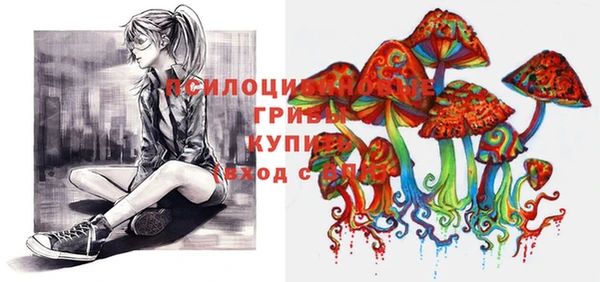 дмт Беломорск